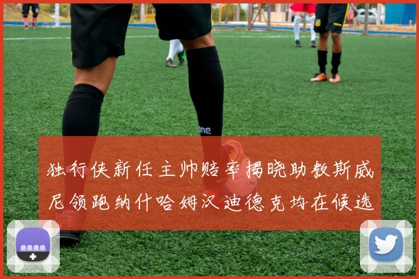 独行侠新任主帅赔率揭晓助教斯威尼领跑纳什哈姆汉迪德克均在候选之中